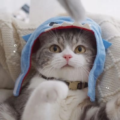 Nurul Huda avatar